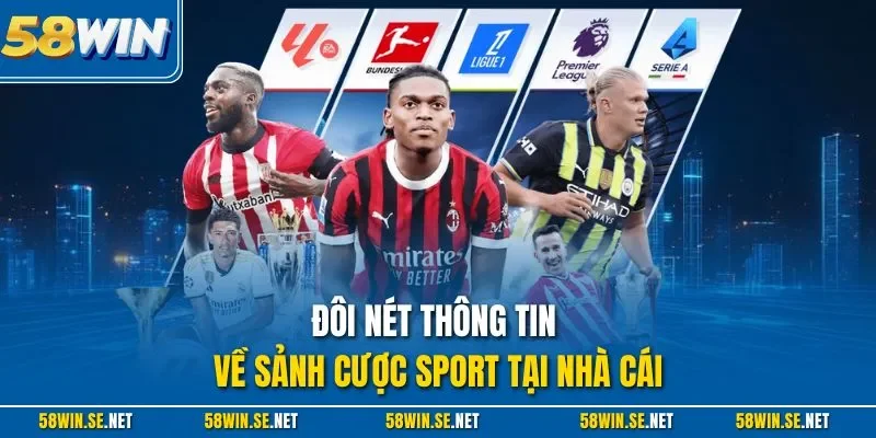 Đôi nét thông tin về sảnh cược sport tại nhà cái