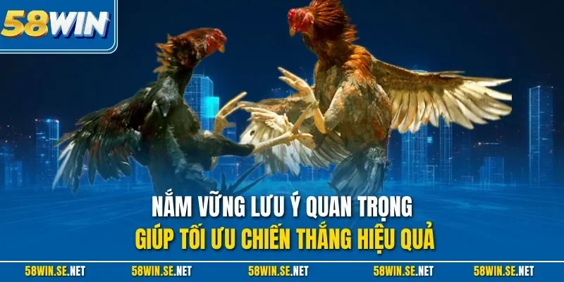 Nắm vững lưu ý quan trọng giúp tối ưu chiến thắng hiệu quả
